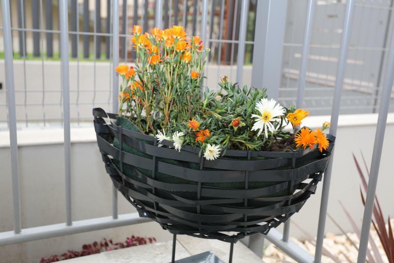 Db Apartments - Dabasso Местре Экстерьер фото